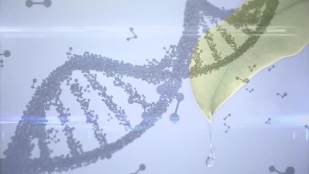 Анімація Dna Молекулярних Структур Над Крупним Планом Листя Синьому Фоні — стокове відео