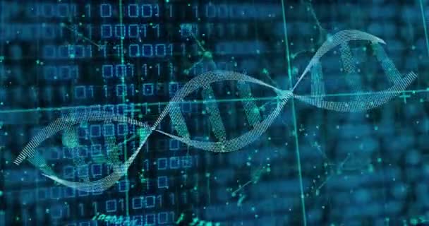 Animazione Del Filamento Del Dna Sull Elaborazione Dei Dati Concetto — Video Stock