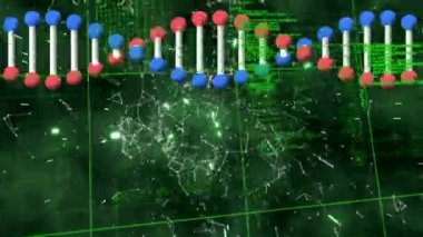 Veri işleme üzerindeki DNA iplikçiklerinin animasyonu. küresel iş ve dijital arayüz kavramı dijital olarak oluşturulmuş video.