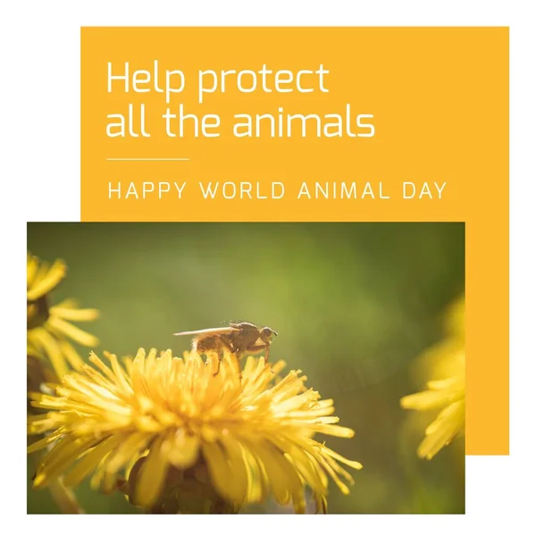 Composition of help protect all the animals happy world animal day text