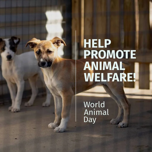 Composition Help Promote Animal Welfare Text Dogs World Animal Day — Photo