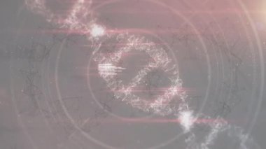 Digital animation of dna structure spinning over network of connections against grey background. Medical research and science technology concept