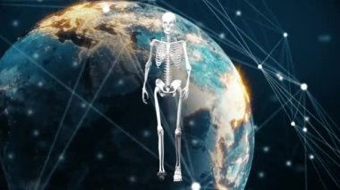 Animation of skeleton and globe with connections over navy space. Global network, science, human biology connections and technology concept digitally generated video.