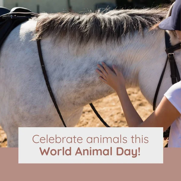 Composition of celebrate animals this world animal day text over horse and caucasian girl. World animal day and celebration concept digitally generated image.