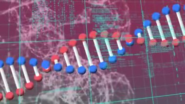 Veri işleme üzerindeki DNA iplikçiklerinin animasyonu. küresel iş ve dijital arayüz kavramı dijital olarak oluşturulmuş video.