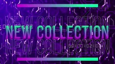Animation of new collection text over network of connections. Global business and digital interface concept digitally generated video.