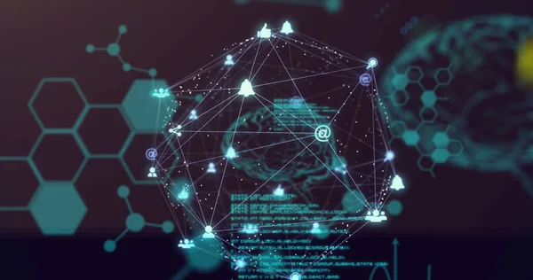 Image of network of connections with human brain. Global medical research technology and digital data sharing concept digitally generated image.