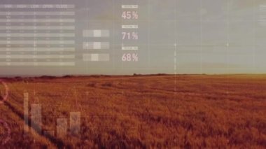 Animation of statistical data processing over aerial view of farm fields. Global business and agriculture concept