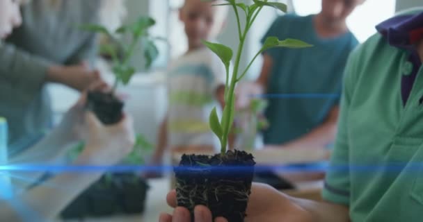 Animation Light Trails Diverse Schoolchildren Teacher Holding Plants Global Education — Vídeos de Stock