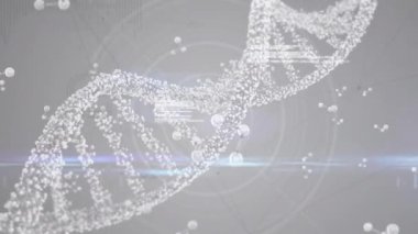 Digital animation of dna and molecular structures over data processing against grey background. Medical research and science technology concept