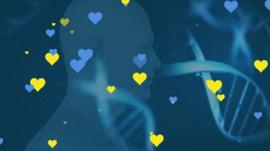 Animation of multiple blue and yellow heart icons over dna structures against human head model. Medical research and science technology concept