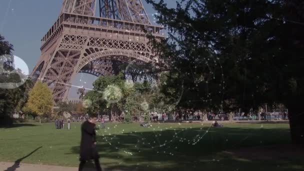 Animation Profiles Connecting Lines Man Talking Phone Eiffel Tower Park — Stock videók