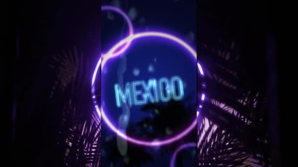 Animation Mexico Text Ring Purple Neon Blue Sky Palm Leaves — Video Stock