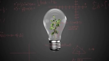 Animation of light bulb with plant over mathematical equations on black background. Global science, technology and digital interface concept digitally generated video.