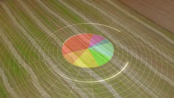 Animation Statistical Data Processing Aerial View Farm Fields Global Business — Stockvideo