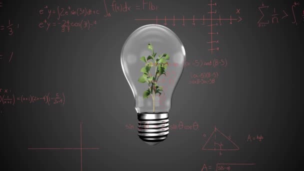Animation Light Bulb Plant Mathematical Equations Black Background Global Science — Vídeos de Stock