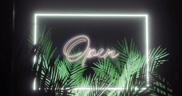 Animation Open Text Frame White Neon Palm Leaves Black Background — Wideo stockowe
