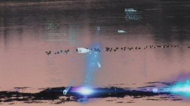 Animation of computer language and abstract patterns moving against seascape at sunset. Digital composite, multiple exposure, coding, database, nature and scenery concept.