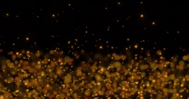 Animation Twin Fish Pisces Zodiac Sign Illuminated Moving Lens Flares — Stockvideo