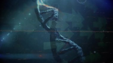Digital animation of dna structure spinning over multiple arrow icons on blue background. Medical research and science technology concept