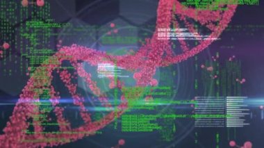 Animation of data processing over dna and chemical structures against purple background. Medical research and science technology concept