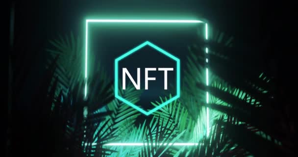 Animation Nft Symbol Square Blue Neon Palm Leaves Black Background — Vídeo de stock
