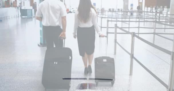 Composite Video Plane Airport Businessman Businesswoman Walking Trolley Bags Aviation — Stok Video