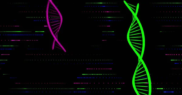 Image Dna Strands Black Background Global Science Digital Interface Concept — Foto de Stock