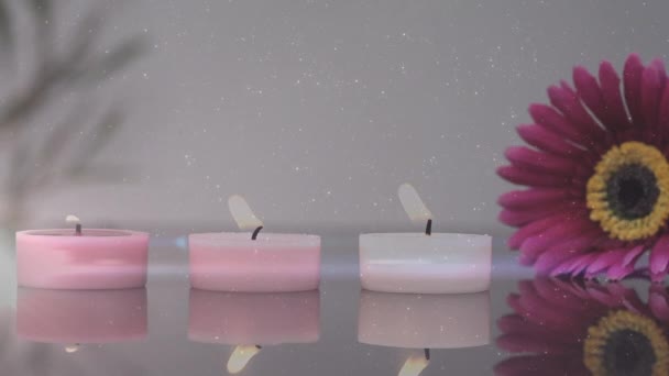 Animation Light Spots Candles Flower Spa Relax Concept Digitally Generated — Stockvideo
