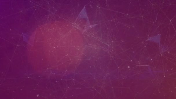 Animation White Particles Globe Plexus Networks Spot Light Purple Background — Stockvideo
