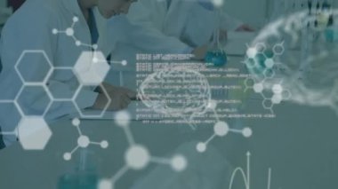 Çeşitli erkek ve kadın bilim adamları üzerinde veri işleme animasyonu. Küresel bilim hesaplama ve dijital arayüz konsepti dijital olarak oluşturulmuş video.