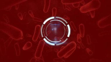 Animation of circle structure spinning over biological cells floating on red background. Digitally generated, illustration, abstract, micro organism, bacterium, healthcare and medical concept.