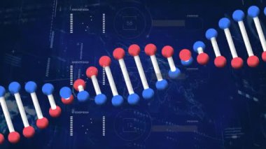 Animation of dna strand over data processing and graph. Global science medicine and digital interface concept digitally generated video.