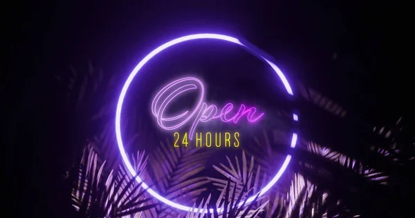 Image of open 24 hours text over neon shape and leaves on black background. Social media and digital interface concept digitally generated image.