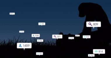 Animation of social media icons and numbers over boy playing with dog in background. Global social media connections communication and technology concept digitally generated video.
