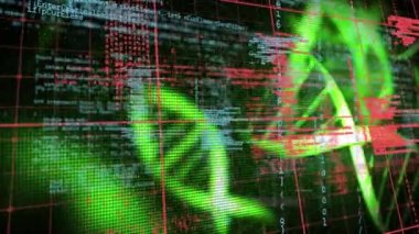 Animation of data processing over grid network against dna structures spinning on black background. Medical research and science technology concept