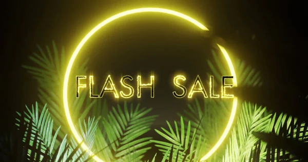 Image of flash sale over neon shape and leaves on black background. Social media and digital interface concept digitally generated image.