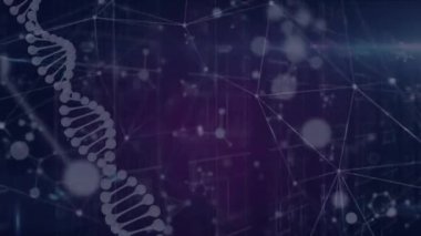 Animation of connected dots with dna helix and molecules moving over grid pattern. Hologram, digitally generated, multiple exposure, genetic, medical, networking, infographic, futuristic, technology.