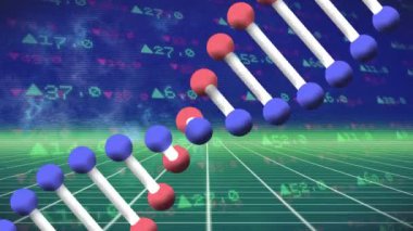 Animation of dna strand over data processing and grid. Science human genetics and technology concept digitally generated video.