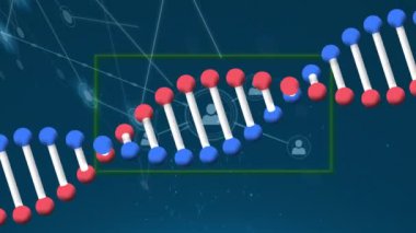 Animation of spinning dna structure and network of profile icons against blue background. Medical research and business networking technology concept