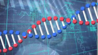 Animation of dna struture spinning over grid network against data processing on blue background. Medical research and science technology concept