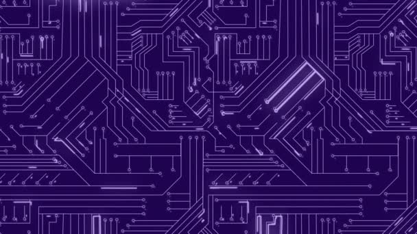 Animation Light Trails Microprocessor Connections Purple Background Computer Interface Business — Stock video