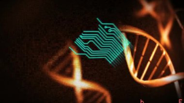 Animation of microprocessor connections and data processing against spinning dna structures. Medical research and science technology concept