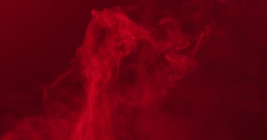 Video of white smoke with red light moving on black background. Halloween, autumn, tradition and celebration concept.