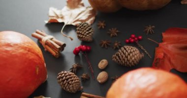 Video of pumpkins with autumn leaves, pinecones and spices on black background. Halloween, autumn, tradition and celebration concept.