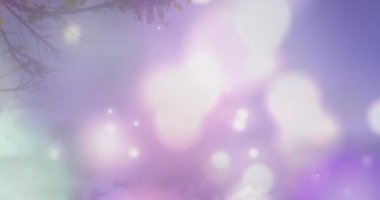 Sahildeki Afrikalı Amerikalı çiftin üzerindeki ışık noktalarının animasyonu. Boş zaman ve tatil kavramı dijital olarak oluşturulmuş video.