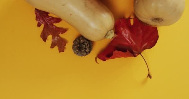 Video Pumpkins Pinecones Autumn Leaves Orange Background Halloween Autumn Tradition — Videoclip de stoc