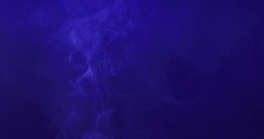 Video of white smoke with blue light moving on black background. Halloween, autumn, tradition and celebration concept.