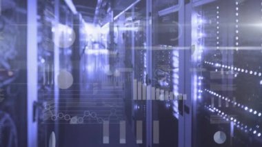 Animation of graphs, charts with financial data processing on digital interface in server room. Digital composite, communication, business, futuristic, technology, cloud computing, finance, economy.