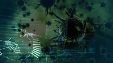 Virüs hücreleri üzerinde tarama yaparak veri işleme animasyonu. Küresel teknoloji, bilim ve dijital arayüz kavramı dijital olarak oluşturulmuş video.